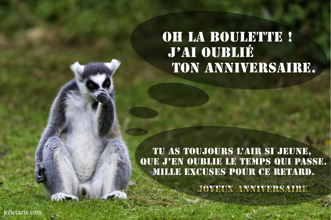 Un lémurien assis sur l'herbe semble réfléchir, avec des bulles de pensée contenant un message d'excuses pour un anniversaire oublié.