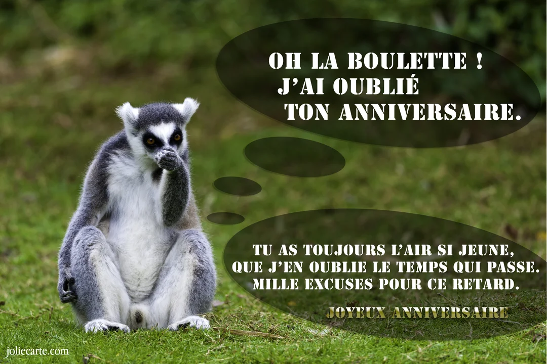 Un lémurien assis sur l'herbe semble réfléchir, avec des bulles de pensée contenant un message d'excuses pour un anniversaire oublié.