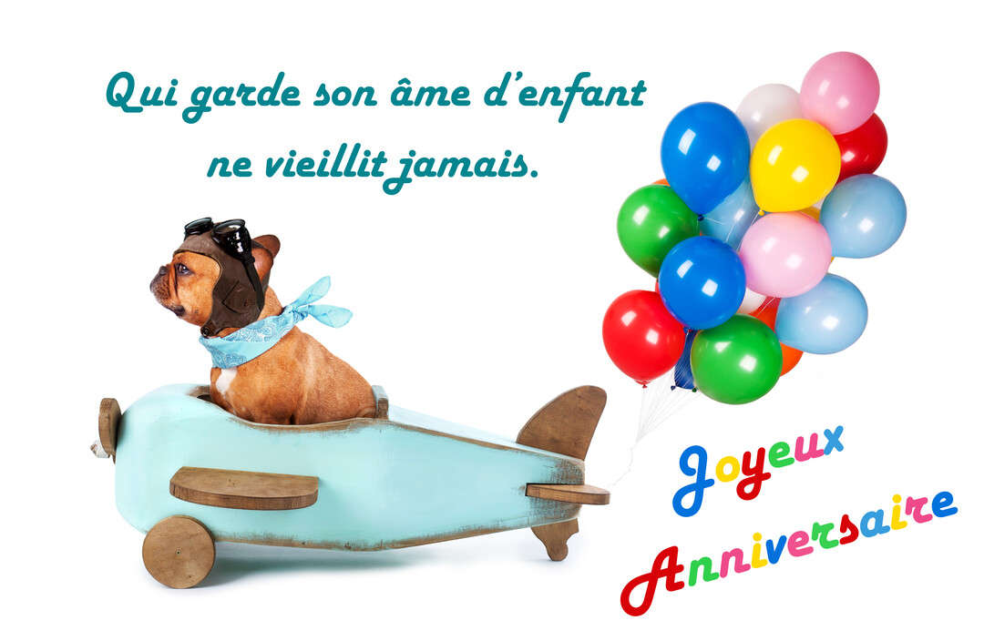 Un bouledogue français coiffé d'un casque d'aviateur est assis dans un petit avion en bois, tirant une grappe de ballons multicolores.