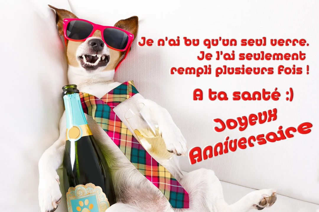 Un chien fêtard avec des lunettes roses et une cravate à carreaux est allongé, tenant un verre et une bouteille de champagne.