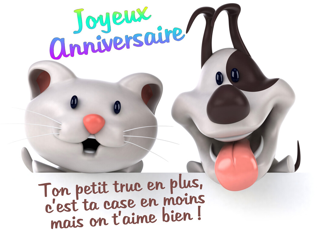 Un chat blanc et un chien marron de style dessin animé sourient, avec un message d'anniversaire humoristique sur un fond blanc.