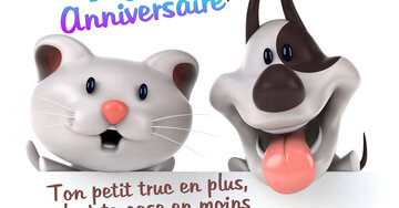 Aperçu de la carte : « Ton petit truc en plus, c'est ta case en moins... »