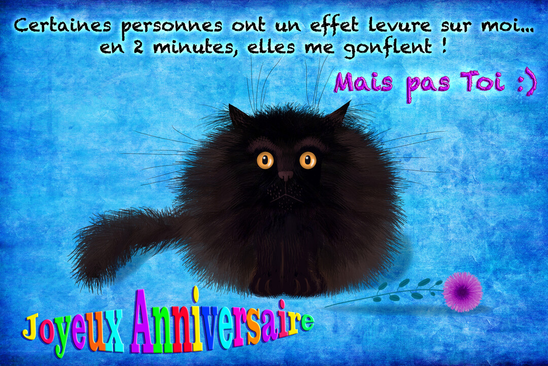 Un chat noir très ébouriffé aux grands yeux jaunes est assis sur un fond bleu texturé, accompagné d'un message d'anniversaire humoristique.
