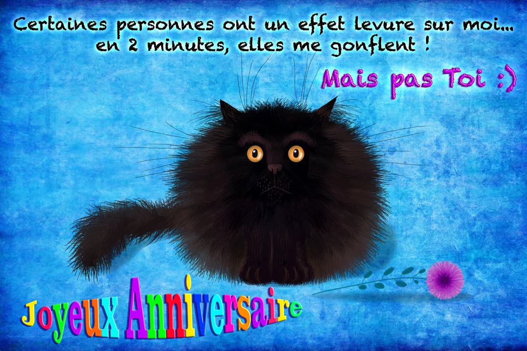 Un chat noir très ébouriffé aux grands yeux jaunes est assis sur un fond bleu texturé, accompagné d'un message d'anniversaire humoristique.