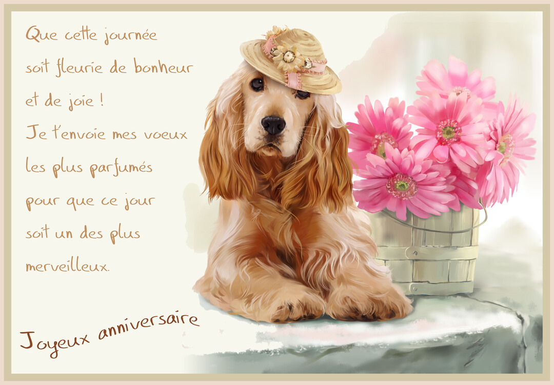 Un chien cocker spaniel blond portant un petit chapeau de paille est assis à côté d'un seau de gerberas roses, sur fond clair.