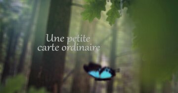 Aperçu de la carte : « Une petite carte ordinaire pour quelqu'un d'extraordinaire... »