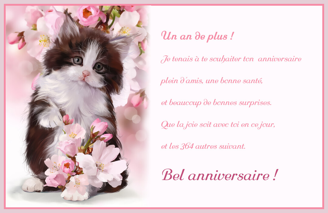Une carte d'anniversaire au cadre rose, montrant un chaton poilu noir et blanc près de fleurs de cerisier, avec un texte de vœux.