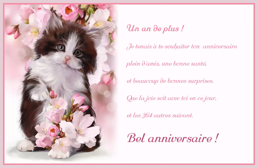 Une carte d'anniversaire au cadre rose, montrant un chaton poilu noir et blanc près de fleurs de cerisier, avec un texte de vœux.