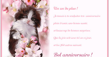 Aperçu de la carte : « Un an de plus ! Je tenais à te souhaiter ton anniversaire plein d'amis... »