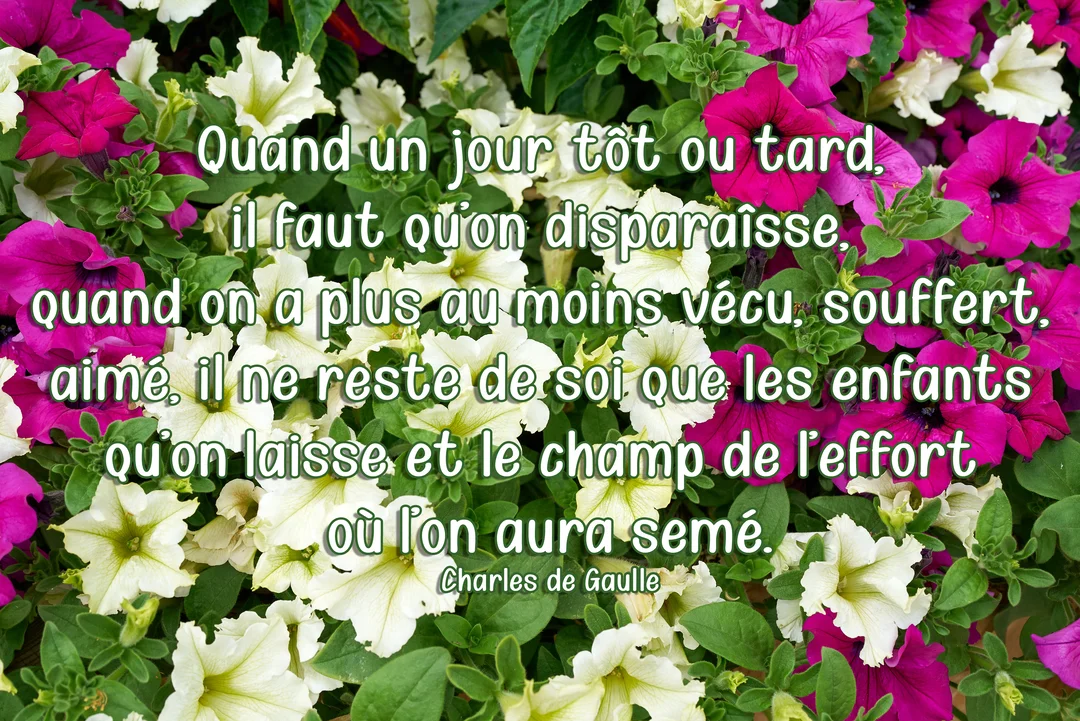 Une citation de Charles de Gaulle est superposée sur un parterre dense et coloré de pétunias blancs et fuchsia avec leur feuillage vert.
