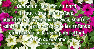 Aperçu de la carte : « Quand un jour tôt ou tard, il faut qu’on disparaîsse... »