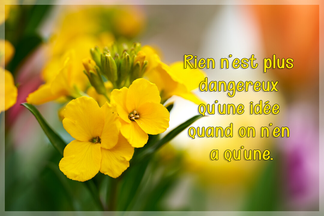 Une composition photographique de petites fleurs jaunes à quatre pétales, avec un arrière-plan flou et coloré, sur laquelle est superposée une citation.
