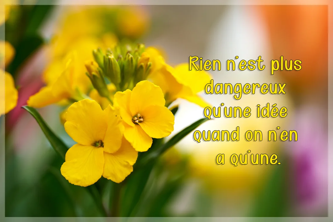 Une composition photographique de petites fleurs jaunes à quatre pétales, avec un arrière-plan flou et coloré, sur laquelle est superposée une citation.