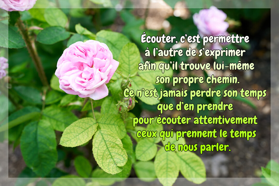 Une photographie d'une rose rose au premier plan, avec un feuillage vert luxuriant, sur laquelle est superposée une citation sur l'écoute.