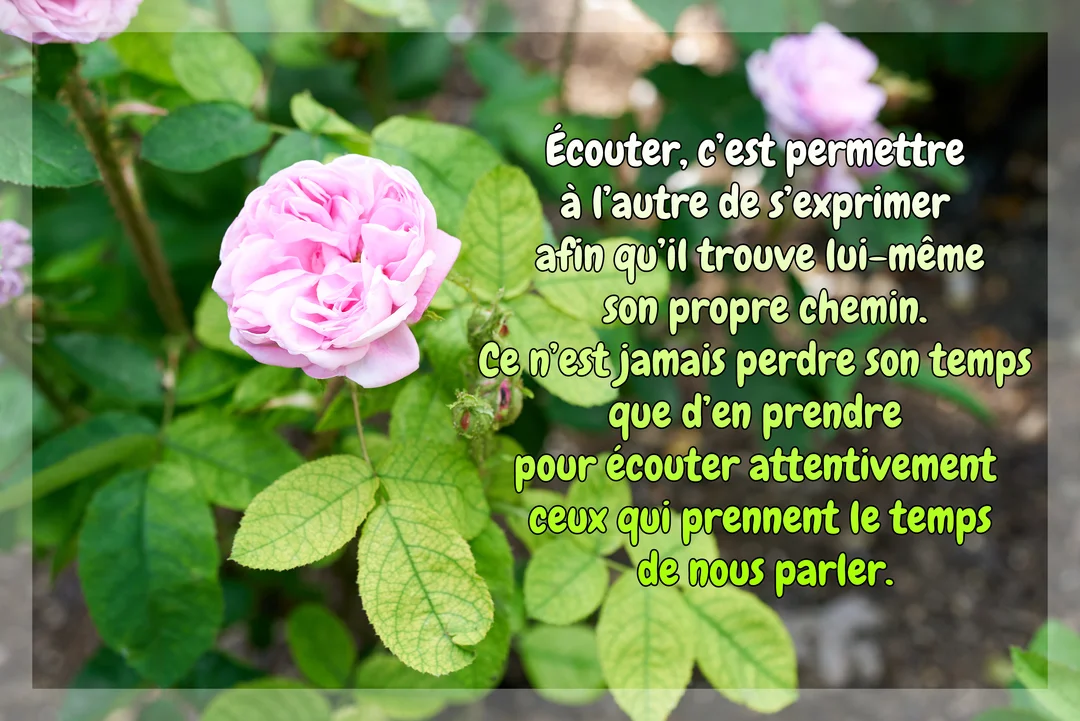Une photographie d'une rose rose au premier plan, avec un feuillage vert luxuriant, sur laquelle est superposée une citation sur l'écoute.