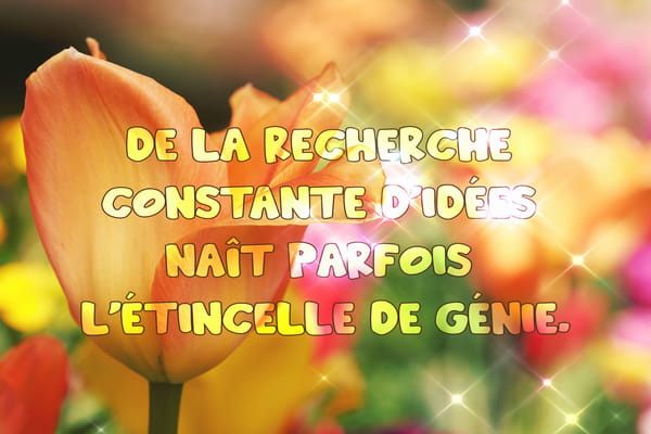 Carte tincelle De G nie Citation Sur La Recherche D Id es JolieCarte carte-tincelle-de-g-nie-citation-sur-la-recherche-d-id-es-joliecarte