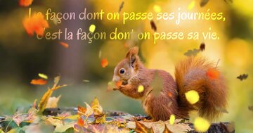 Aperçu de la carte : « La façon dont on passe ses journées... »