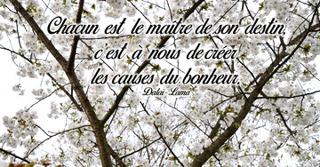 Aperçu de la carte : « Chacun est le maître de son destin, c'est à nous de créer... »