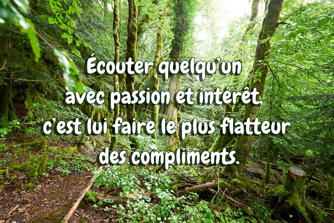 Une citation sur l'écoute est superposée sur la photographie d'un sentier de terre au cœur d'une forêt dense aux arbres couverts de mousse.