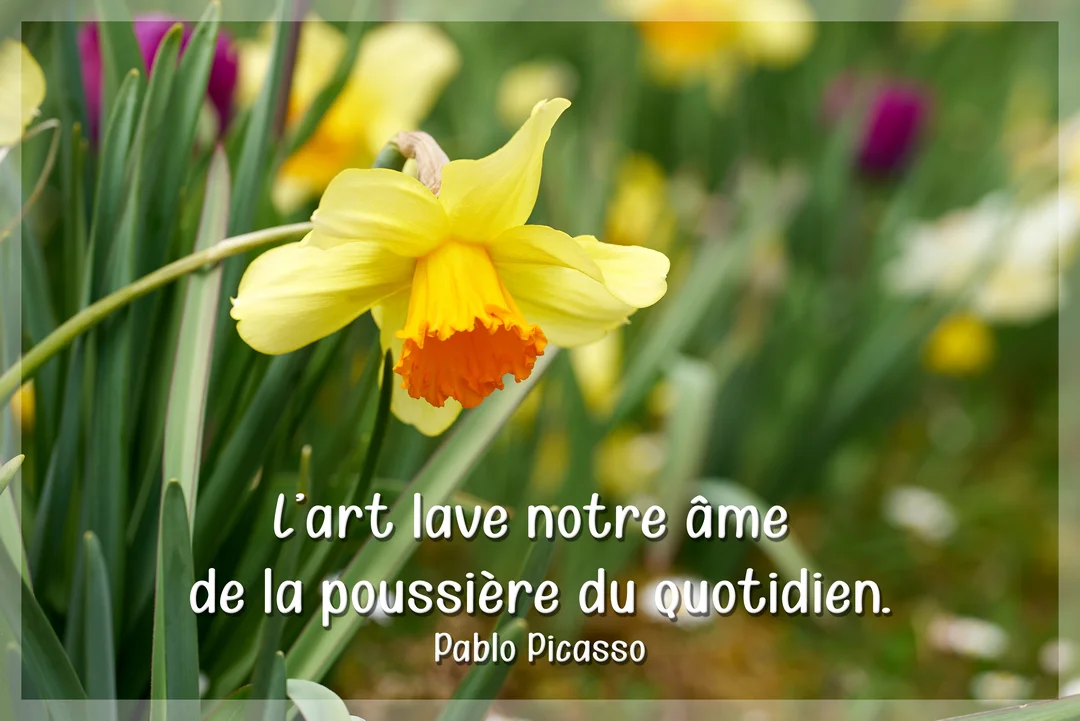 Une jonquille jaune au cœur orangé est en pleine floraison, capturée en gros plan sur un fond de verdure et de fleurs floues.