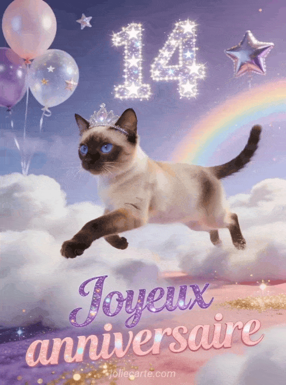 Joyeux anniversaire 14 ans - Fille ado