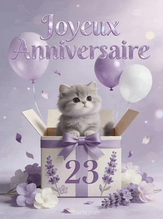 Joyeux anniversaire 23 ans - Carte fille