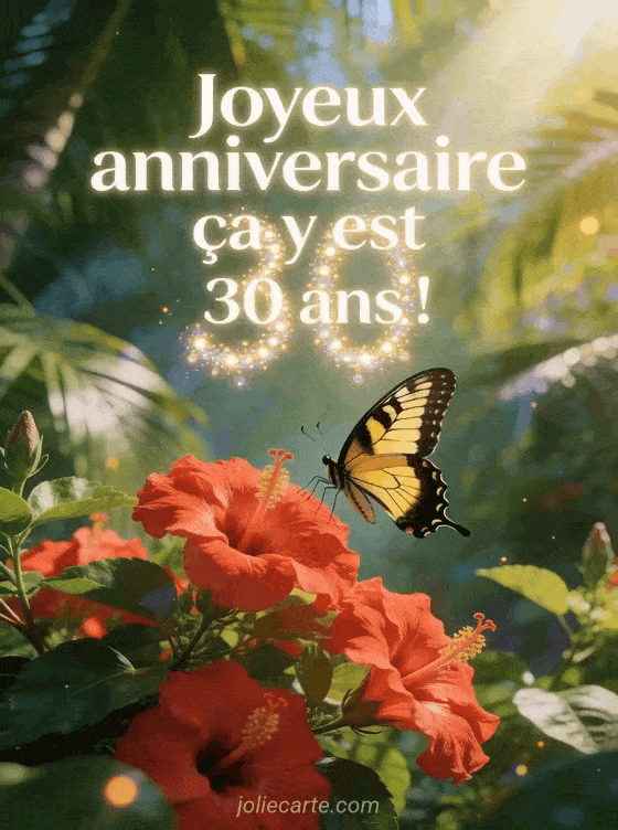 Joyeux anniversaire 30 ans - Message