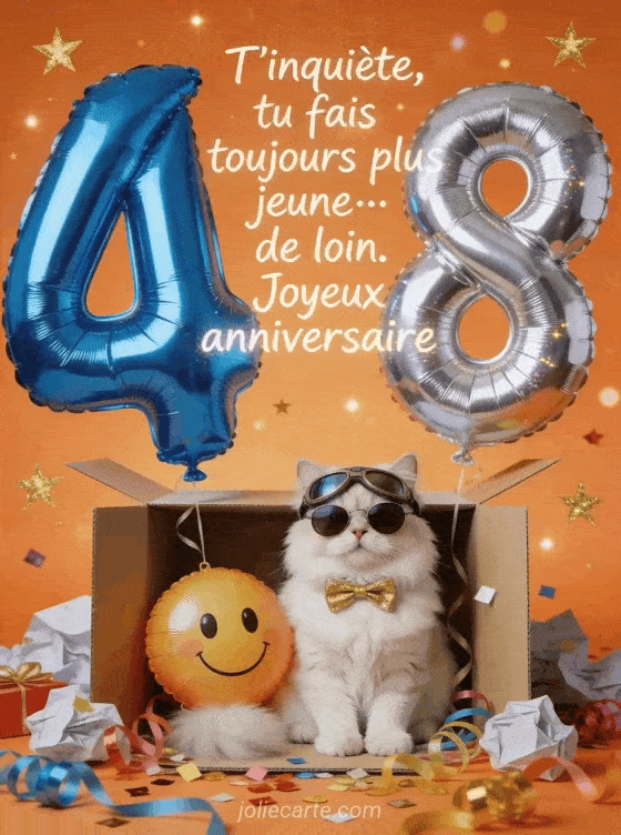 Joyeux anniversaire 48 ans - Gif humour