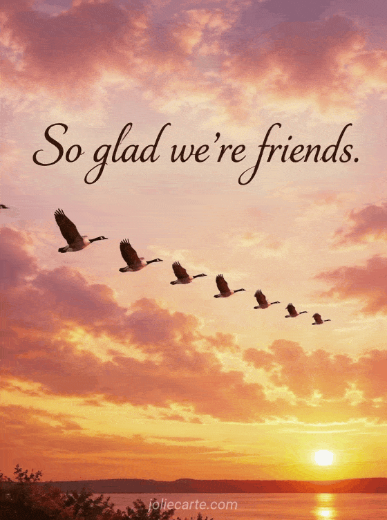 So glad we're friends. - GIF