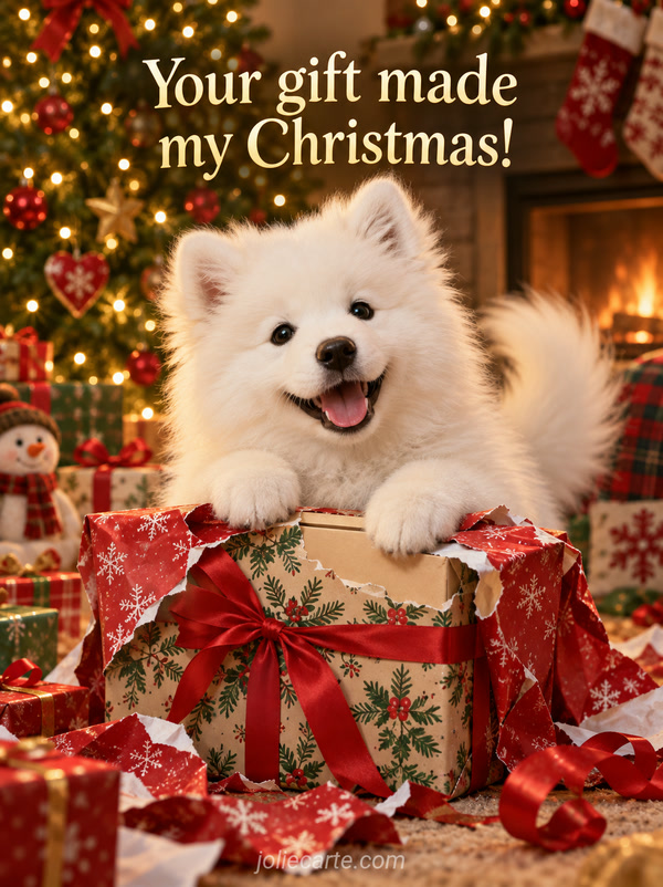 Your gift made my Christmas! - Image