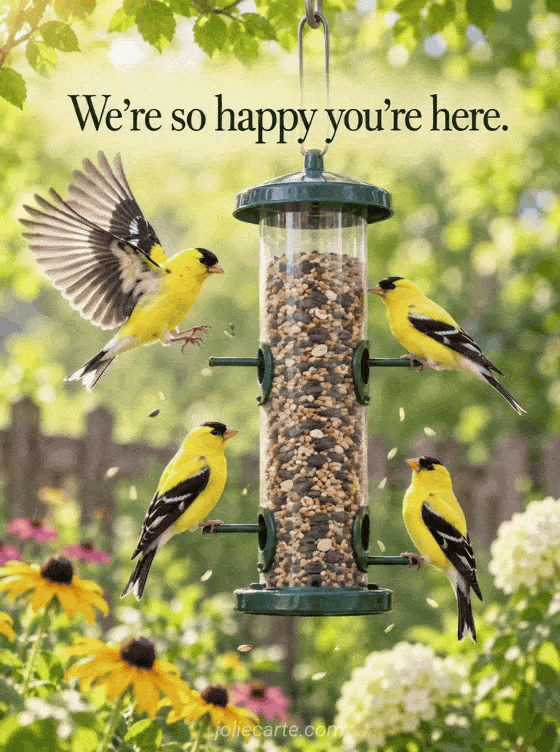We're so happy you're here. - GIF