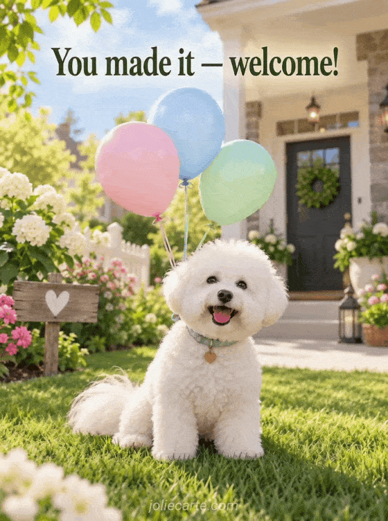 You made it — welcome! - GIF