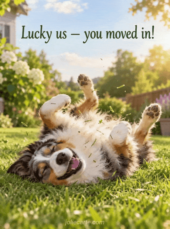 Lucky us — you moved in! - GIF