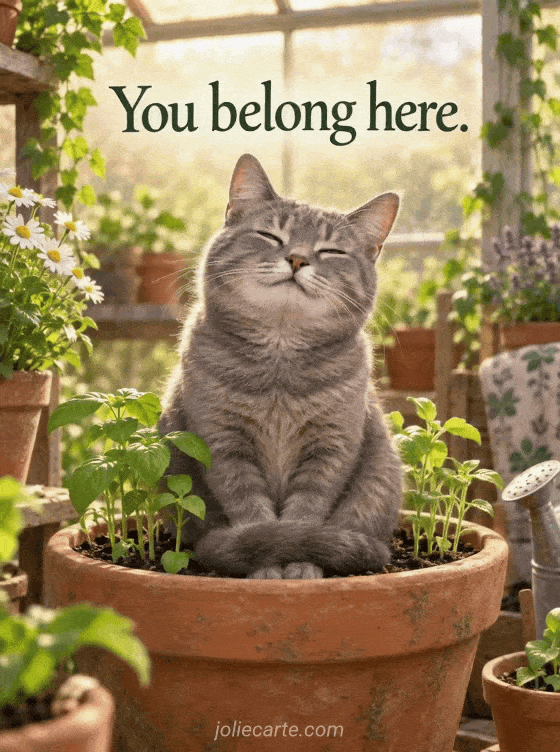 You belong here. - GIF