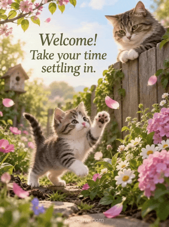 Welcome! Take your time settling in. - GIF