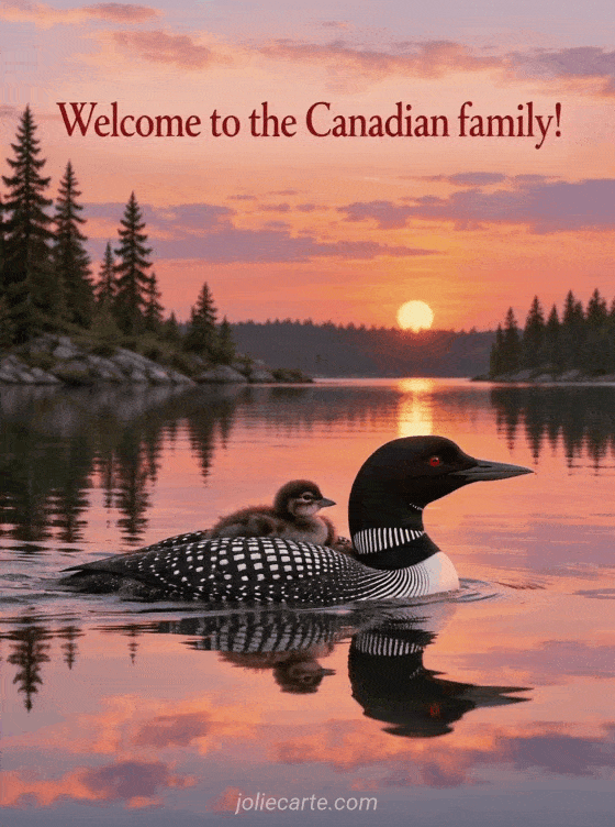 Welcome to the Canadian family! - GIF