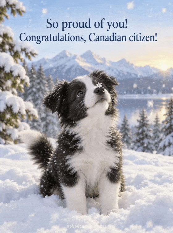 So proud of you! Congratulations, Canadian citizen! - GIF