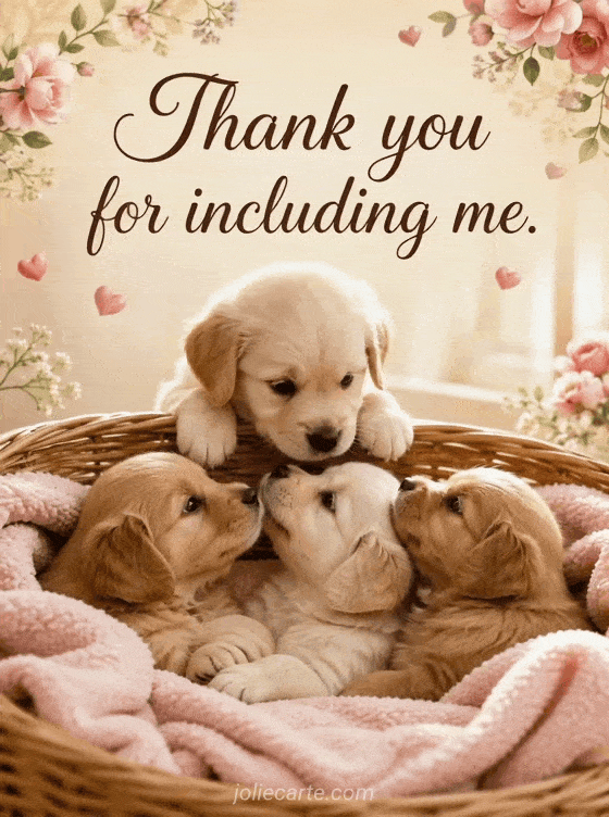 Thank you for including me. - GIF