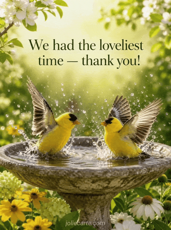 We had the loveliest time — thank you! - GIF