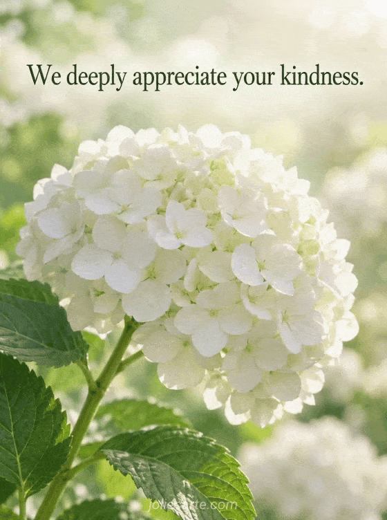 We deeply appreciate your kindness. - GIF