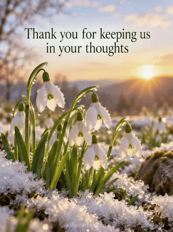 Thank you for keeping us in your thoughts - GIF