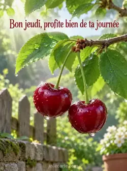 Deux cerises rouge sombre couvertes de rosée pendent à une branche verte éclairée par un rayon matinal. Texte : « Bon jeudi, profite bien de ta journée ».