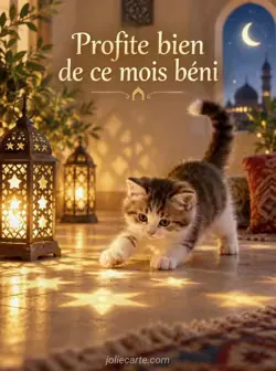 Chaton joueur, la queue dressée, bondissant sur des motifs de lumière en forme d'étoiles projetés au sol par une lanterne dans une ambiance dorée. Texte : « Profite bien de ce mois béni »