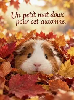 Un cochon d'Inde au pelage duveteux est blotti dans des feuilles orange et rouges, seule sa frimousse dépasse, sous une lumière chaude. Texte : « Un petit mot doux pour cet automne. »