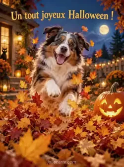 Le chien dans les feuilles
