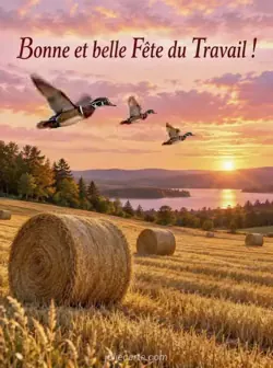 Balles de foin rondes dans un champ récolté au coucher du soleil, avec de longues lumières ambrées et des canards carolins en vol sous un ciel rose et or. Texte : « Bonne et belle Fête du Travail ! »