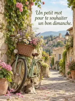 Vélo ancien avec un panier d'osier rempli de fleurs sauvages, appuyé contre un mur de pierre ensoleillé bordé de lierre. Texte souhaitant un bon dimanche.
