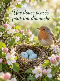 Petit nid tressé contenant trois œufs bleu pâle dans une haie fleurie, sous une lumière filtrée par les feuilles. Texte : « Une douce pensée pour ton dimanche ».