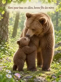 Un ourson brun debout sur ses pattes arrière enlace la patte avant de sa mère, qui le regarde tendrement dans une clairière verte aux taches de soleil. Texte : « Merci pour tous ces câlins, bonne fête des mères »