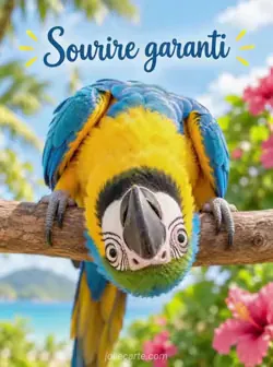Un ara bleu et jaune, au contour des yeux blanc, se tient sur un perchoir en bois. Sa tête est complètement renversée et son regard dirigé vers l'objectif. Texte : « Sourire garanti ».